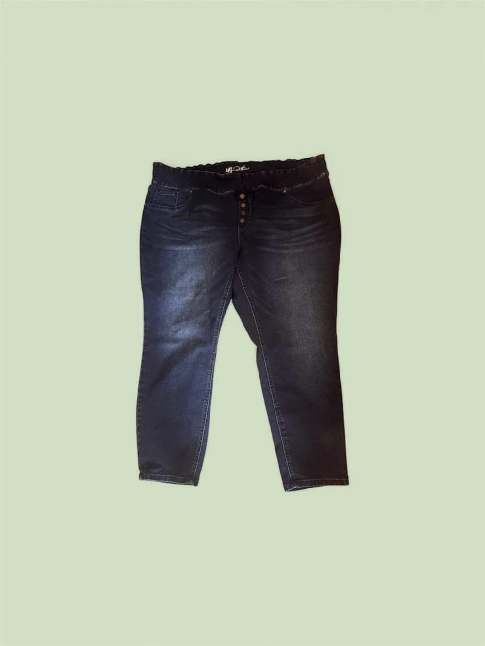 DG2 by Diane Gilman Dark Wash Women’s Jeans - size 4X